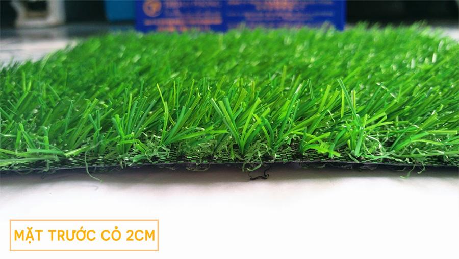 Thảm cỏ nhân tạo sân vườn 2cm
