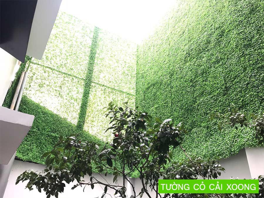 Tấm cỏ cải xoong trang trí tường