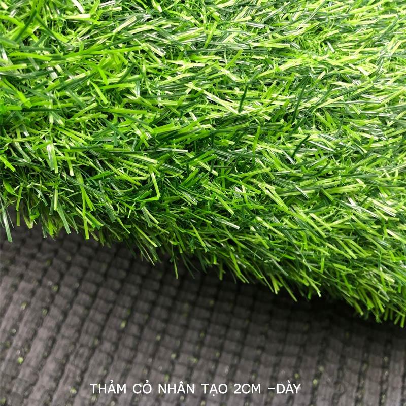 Thảm cỏ nhân tạo 2cm dày
