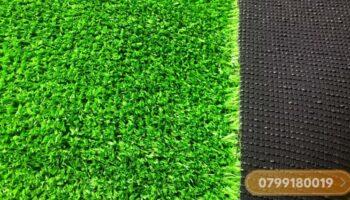 Thảm cỏ nhân tạo 1cm - NX01M