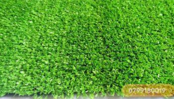 Thảm cỏ nhân tạo 1cm xanh non