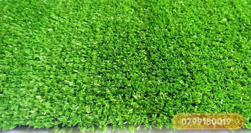 Thảm cỏ nhân tạo 1cm xanh non