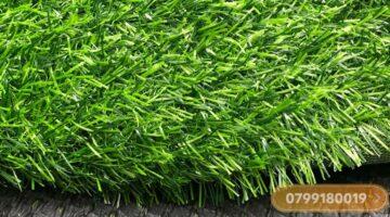 Thảm cỏ nhân tạo 2cm cao cấp