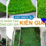Thi công cỏ nhân tạo và tường cây giả tại Kiên Giang